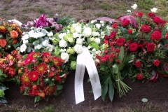 07-bloemen-op-vers-graf-oktober-2011